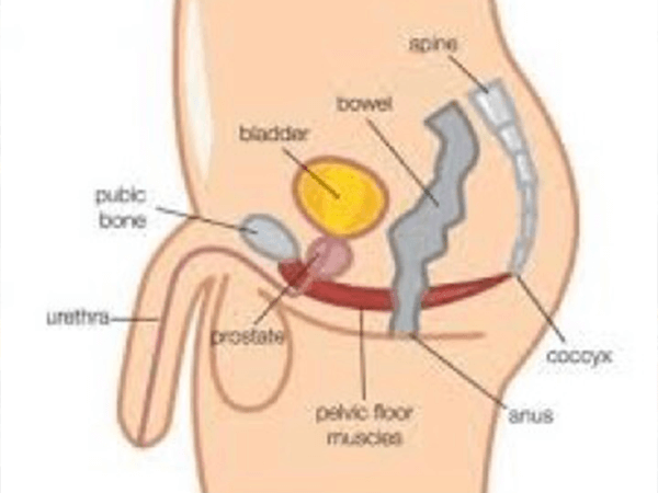 Prostatitis epididymitis prostatectomy benign prostatic