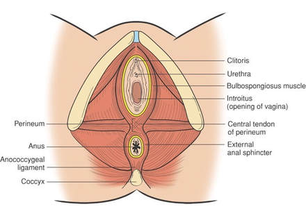 Masaje perineal para que sirve