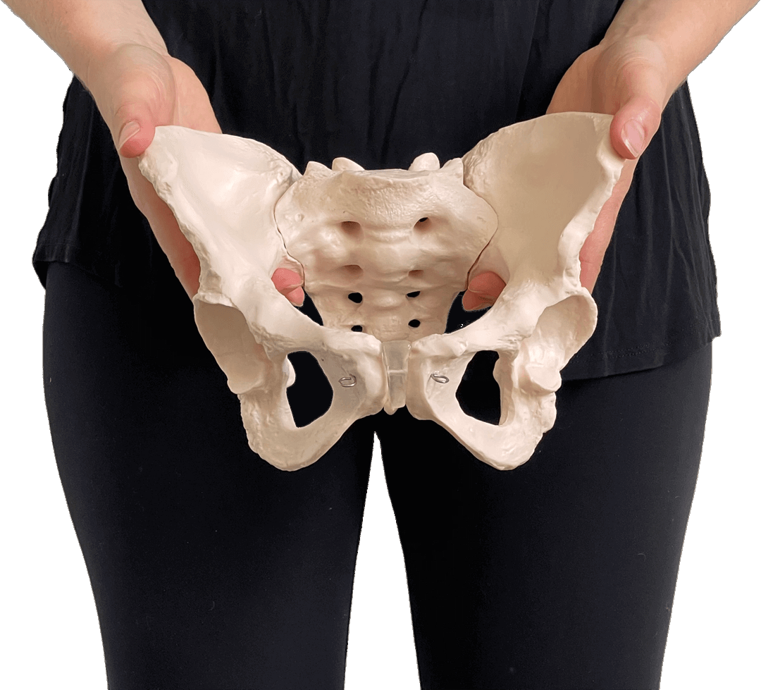 Peninsula pelvic floor physiotherapy for women and men